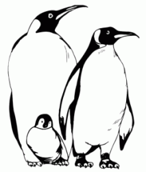 Famiglia di pinguini