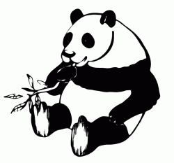 Panda che mangia