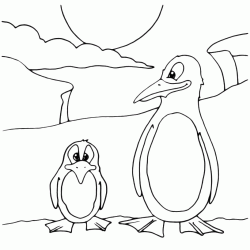 Pinguino alto e pinguino basso