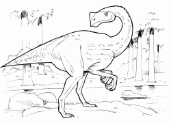 Il Gigantoraptor osserva sospettoso