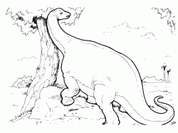 L'Apatosauro mangia le foglie di un albero