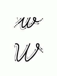 Lettera W con indicazioni movimento corsivo maiuscolo e minuscolo
