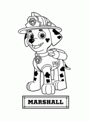 Marshall il cane pompiere da salvataggio