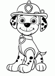 Marshall il cane pompiere di razza dalmata