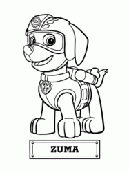 Zuma il cane per il salvataggio acquatico