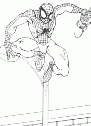 Spiderman sul lampione