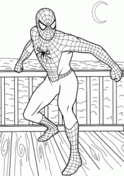 Spiderman sulla terrazza