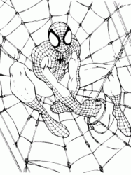 Spiderman attende sulla ragnatela